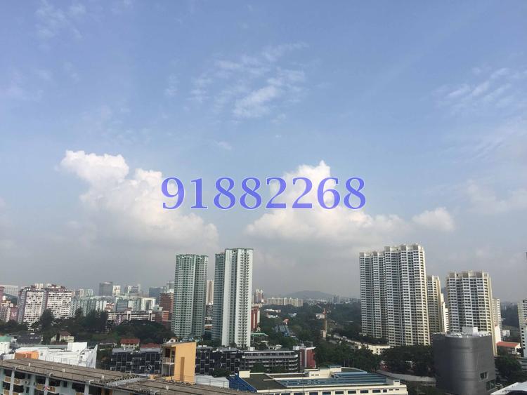 Blk 38 Jalan Rumah Tinggi (Bukit Merah), HDB 4 Rooms #86116792